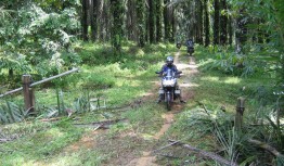 Riding off-road in Malaysia