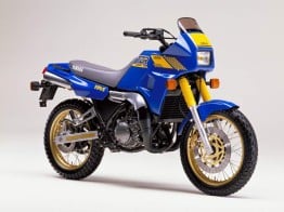 1988 Yamaha TDR250 Adventure Bike