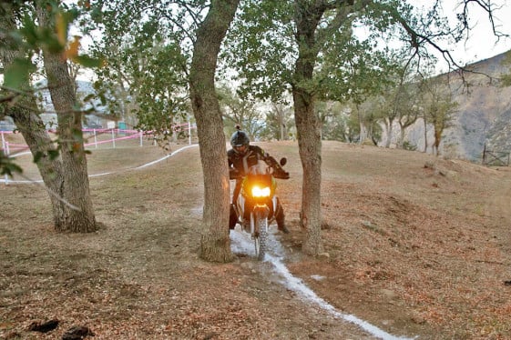 Squeezing through the trees