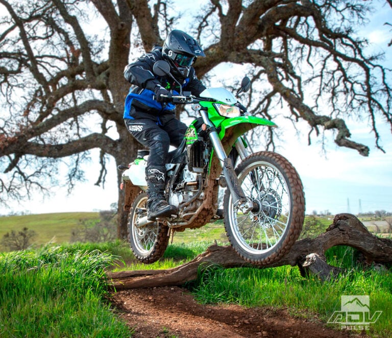 2021 Kawasaki KLX300 First Ride Review ADV Pulse