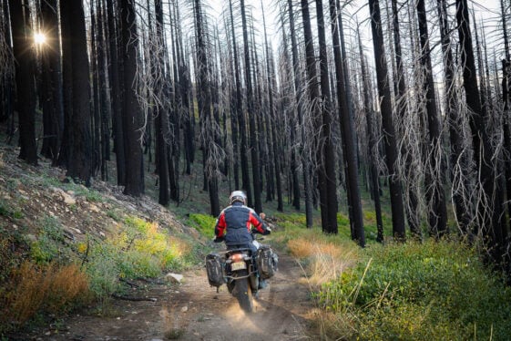 Official Trailer for Northern California BDR Film Released - ADV Pulse