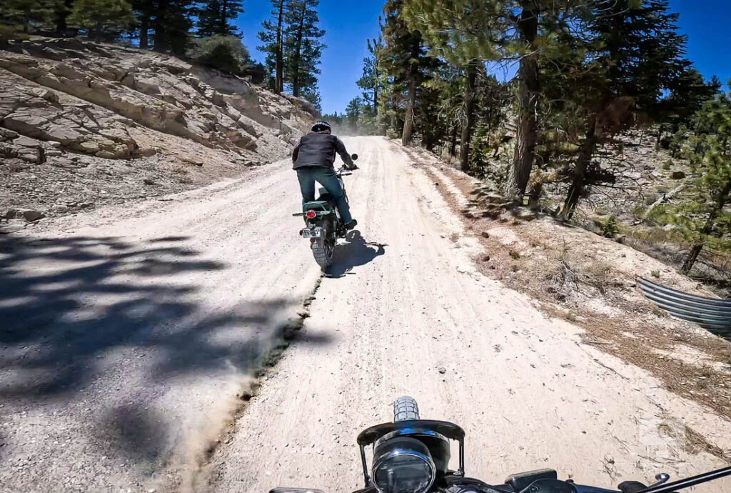 Royal Enfield Bear 650 Big Bear Test