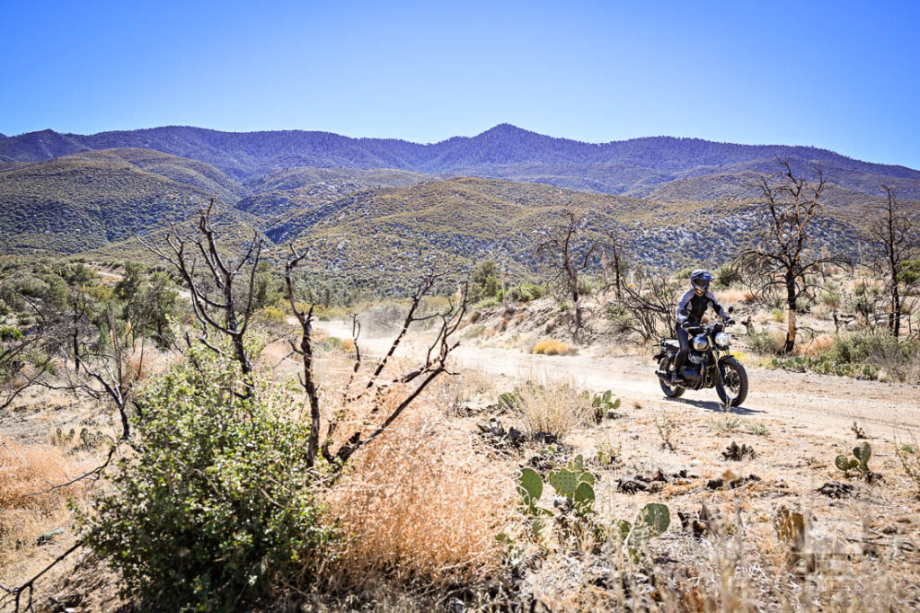 Royal Enfield Bear 650 scrambler returns to Big Bear