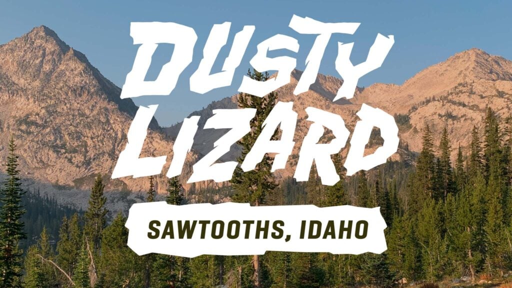 dusty lizard sawtooth
