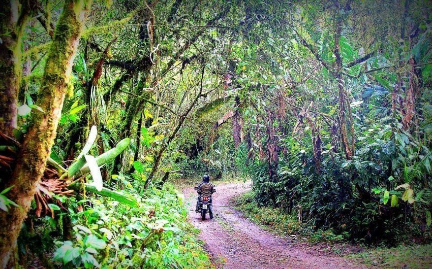 Ecuador Freedom Bike Rental