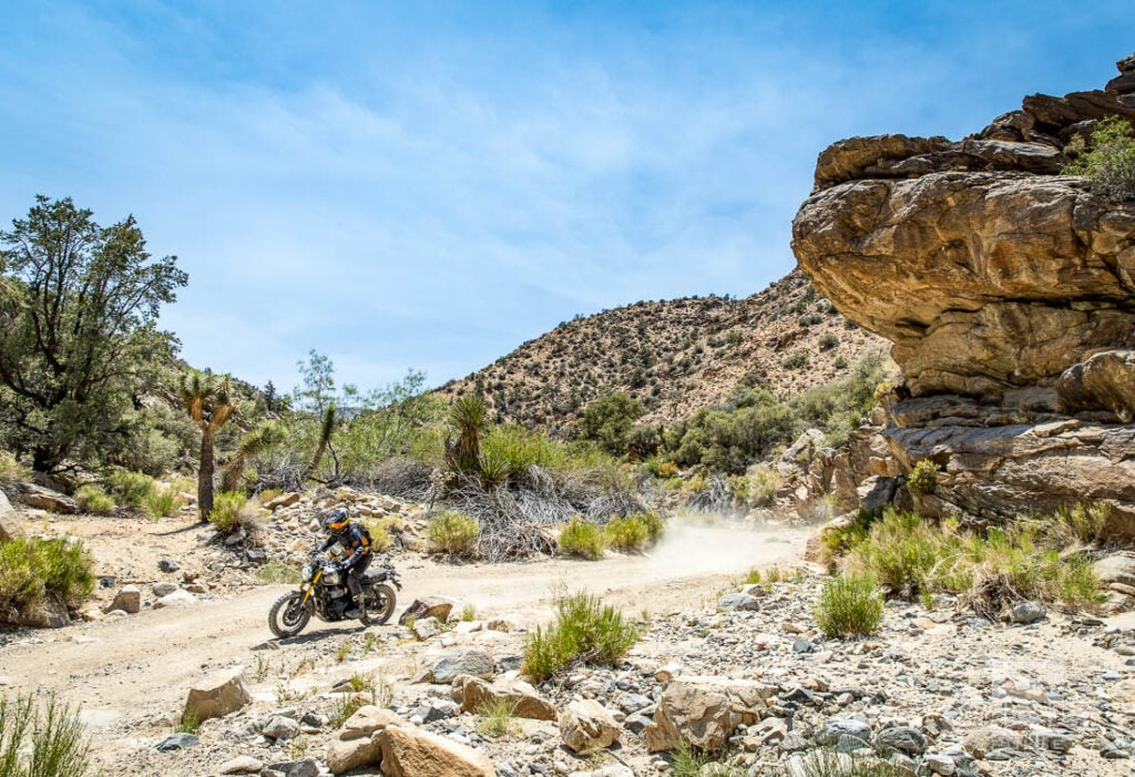 Rattlesnake Canyon