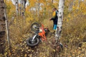 Boobytrap On Public Utah Trail Injures Rider, Criminal Probe Underway