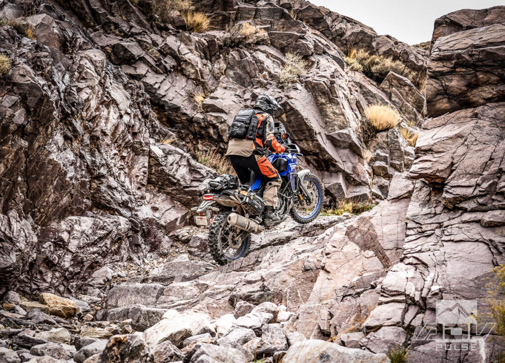 2025 Yamaha Tenere 700 Review