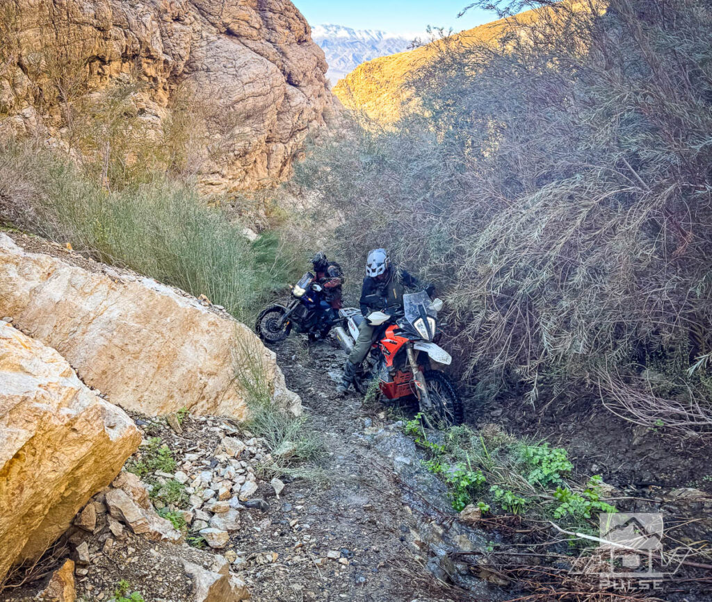 Riding Death Valley Pleaseant Canyon