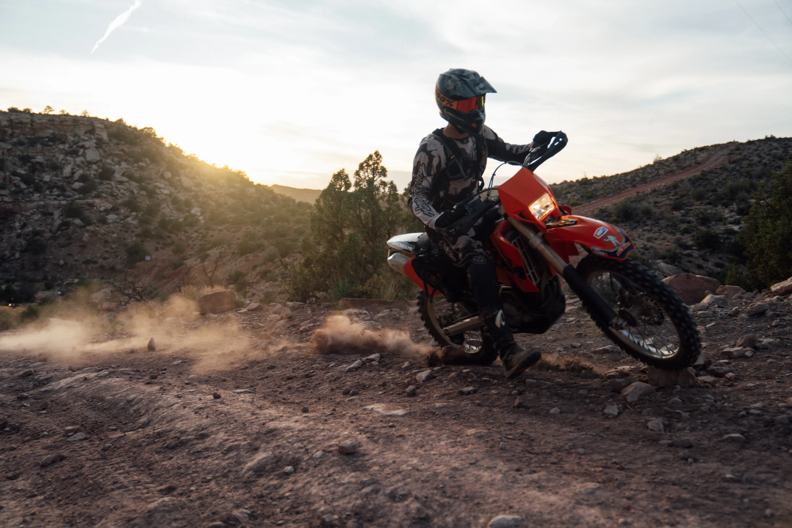 dusty lizard Moab 2026