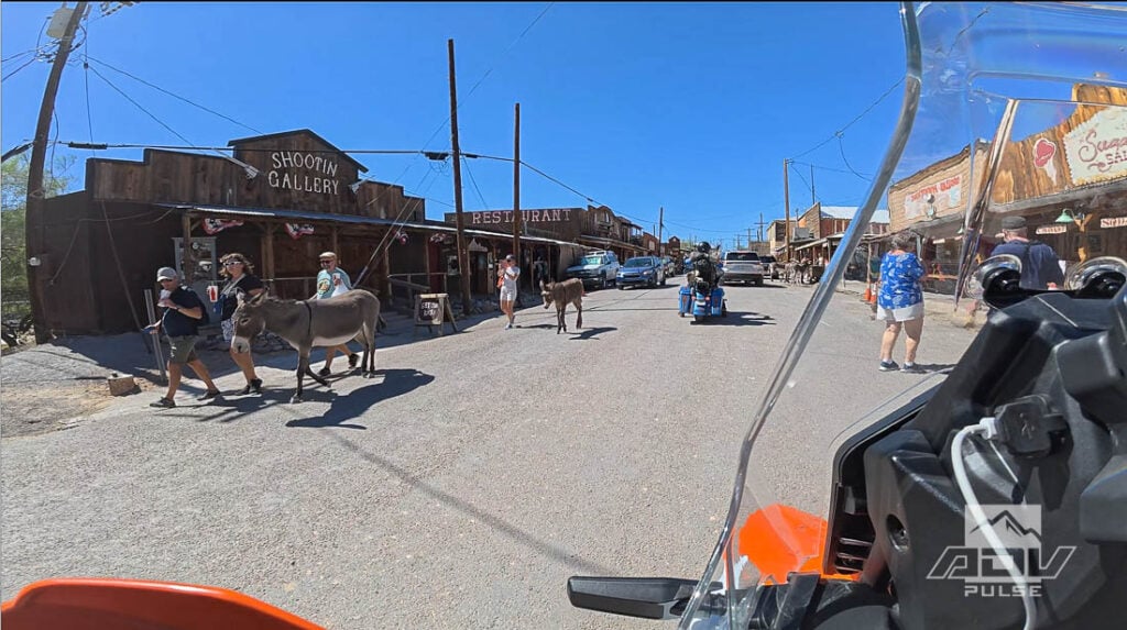 Oatman, Arizona