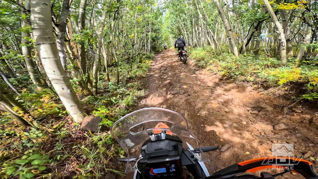 KTM 390 Adventure R offroad test