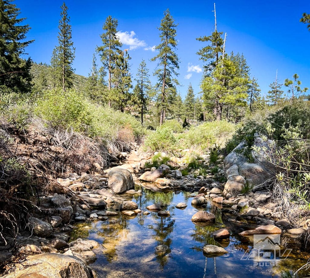 Angeles National Forest