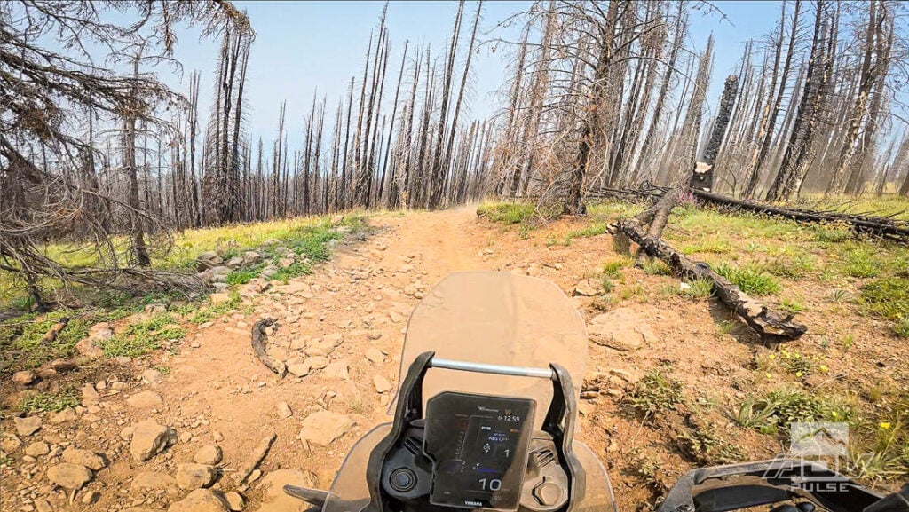 Yamaha Tenere 700 World Raid Review