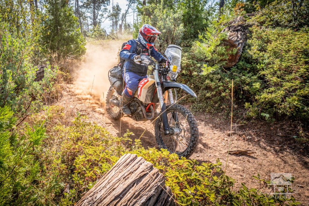 Beta 390 RS